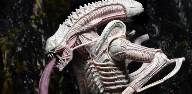 NECA's Albino Alien is a thing of nightmares!