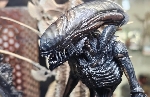 NECA Alien: Romulus Xenomorph figure images leaked from SDCC 2024 (SPOILERS)