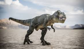 gambar dinosaur