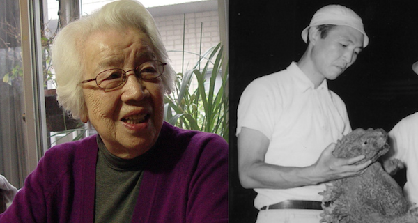 Ishiro Honda's Wife Passes Away at 101