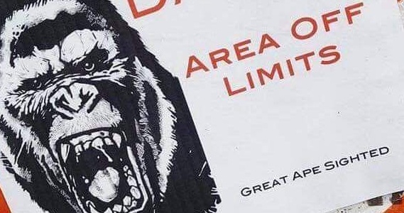 Kong marks his territory as Godzilla vs. Kong filming gears up!