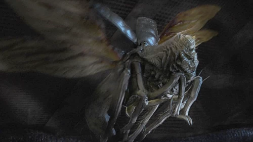 A detailed look at The Fly specimen Weyland-Yutani collected in Alien: Earth season 1