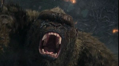 Adam Wingard felt bad for Kong, removed things that were supposed to happen to him!