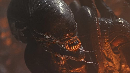 What’s Next For The Alien Franchise?