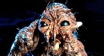 20th Century Fox Planning A New Remake Of The Fly