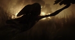 A closer look at the 'Neomorphs' in Alien: Covenant!