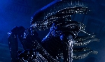 Advanced look at NECA Alien 40th Anniversary Ultimate Big Chap Alien Figure!