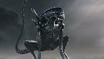 Alien: Covenant fan wins official Fox poster competition!