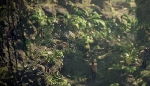BREAKING: New Predator Game coming to PlayStation 4 in 2020!