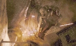 Don't forget, Cloverfield 3 hits theaters this year!
