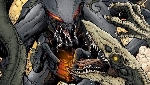 Fan Art Spotlight: MUTO vs. Skullcrawler Monsterverse Titan Brawl!