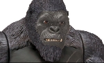 First Look at New GvK King Kong Figure Revealed