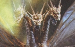 Godzilla: King of the Monsters marketing officially kicks off with mention of Monster Zero!