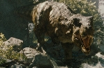 Jurassic World: Rebirth Review Round-Up — Early Critical Reactions