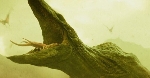 UPDATE: Kong: Skull Island Monster Specs & Bios