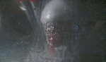 New Perspectives: Devising the new Xenomorph for Alien: Covenant