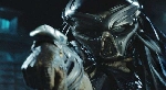 Scified's Old Man review of The Predator!