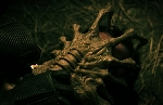 The Facehugger gets a savagely gruesome new design feature in Alien: Romulus!