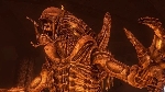 The History and Future of AVP Games