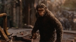 Two Films, Two Slot Machines - A Match Made in Heaven