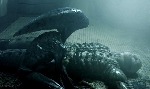 Will the Deacon from Prometheus be in Alien: Covenant?