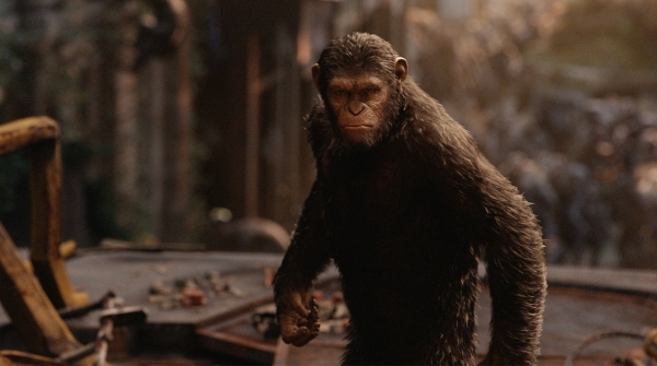 Planet of the apes film