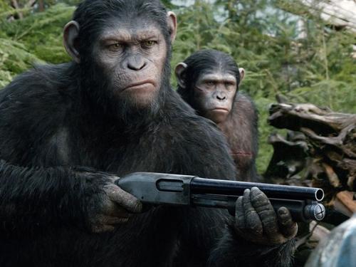 War for the Planet of the Apes has a new synopsis!