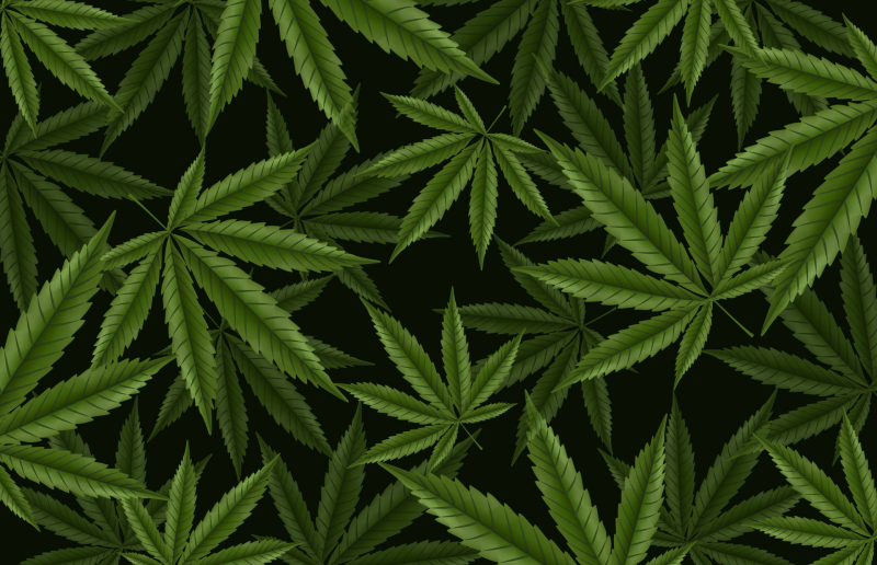 What To Know About THC Gummies?