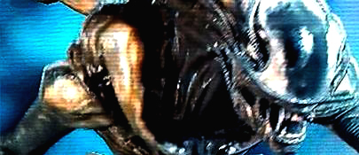 User Banner