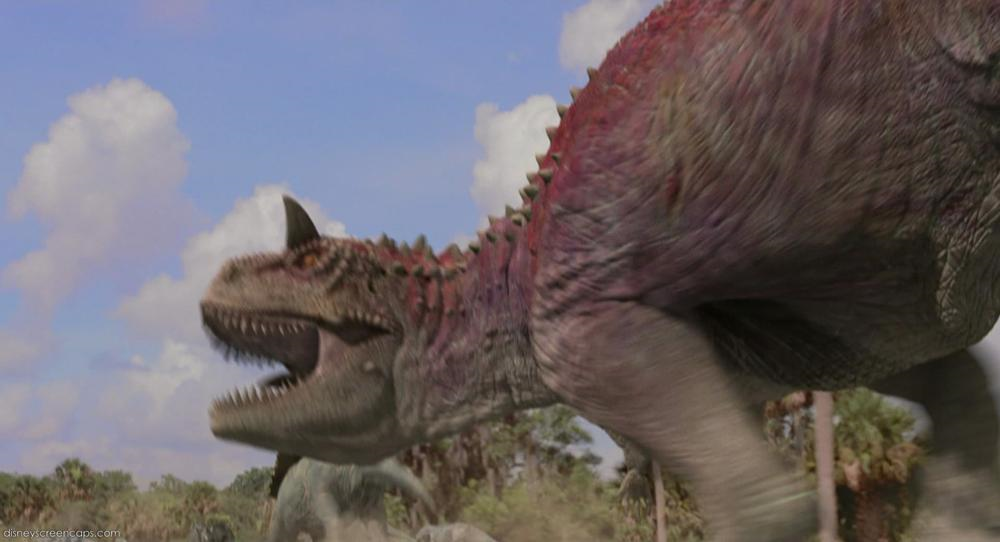 User Banner