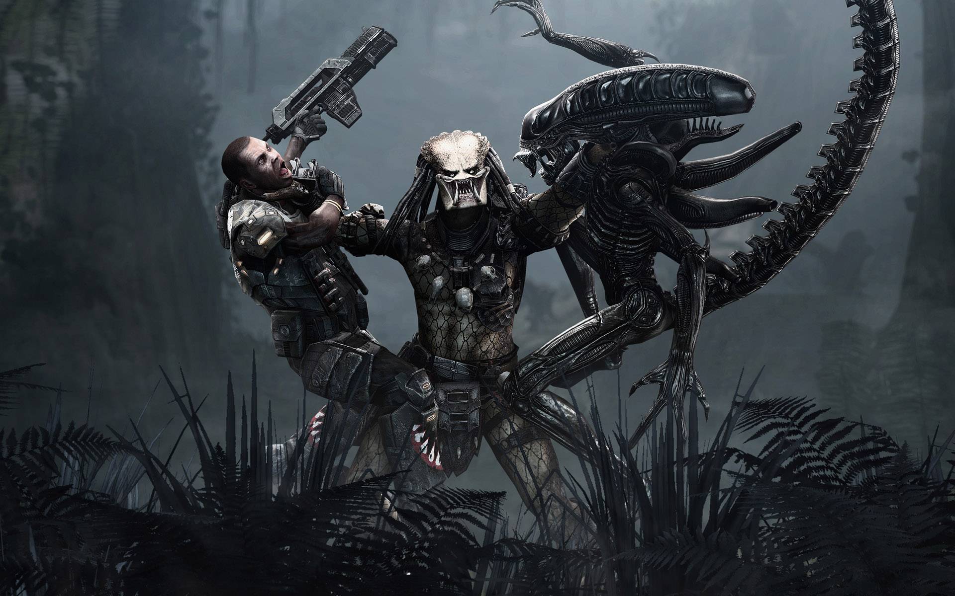 User Banner