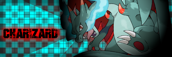User Banner