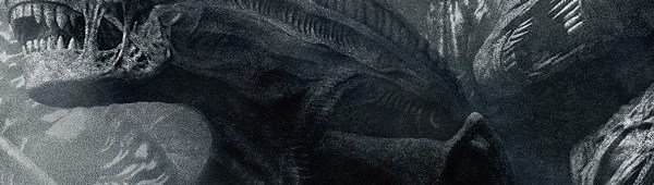 User Banner