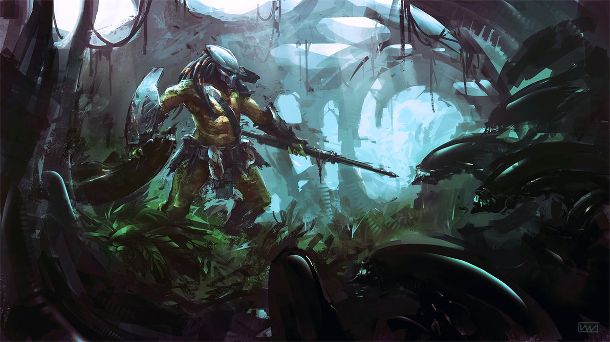 User Banner
