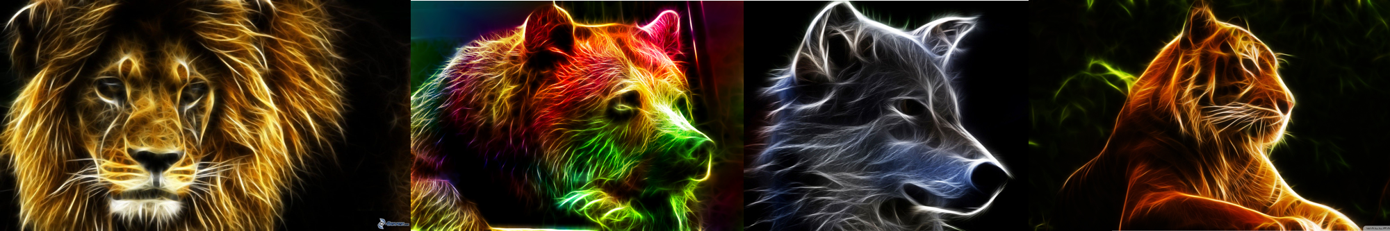 User Banner