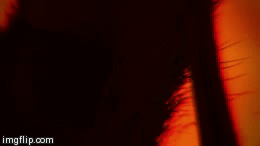 User Banner