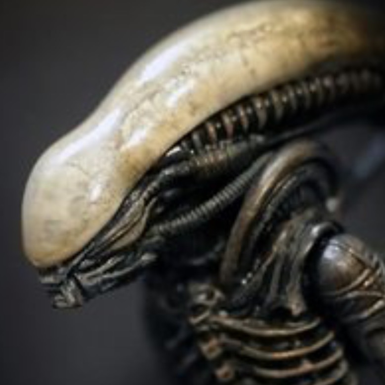 User Banner