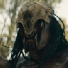 Predator Versus Discussion Forum