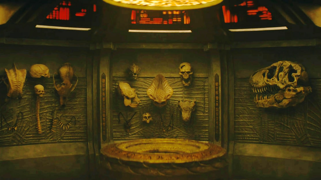 Badlands Trophy Wall Skulls – The Most In-Depth Analysis Article