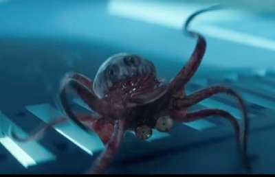 Weyland-Yutani Specimen Profile: Trypanohyncha Ocellus