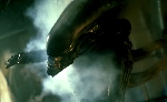 The Complete Alien Xenomorph Life Cycle Explained