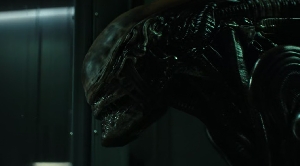 Adolescent Xenomorph in Ep 6