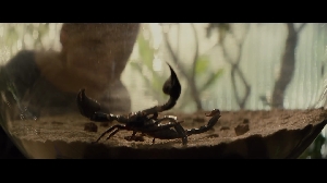 Alien: Earth trailer screenshot