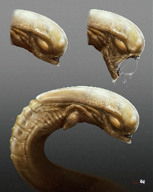 Alien: Romulus Chestburster design