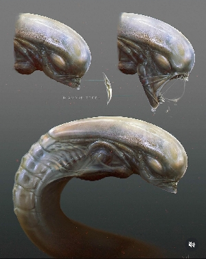 Alien: Romulus Chestburster design