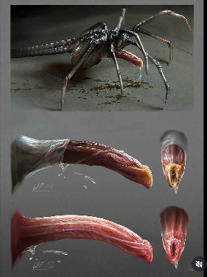 Alien: Romulus Facehugger concept art