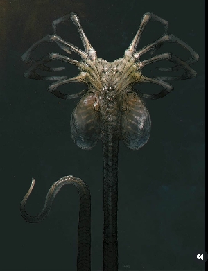 Alien: Romulus Facehugger concept art