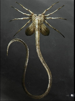 Alien: Romulus Facehugger concept art