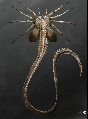 Alien: Romulus Facehugger concept art