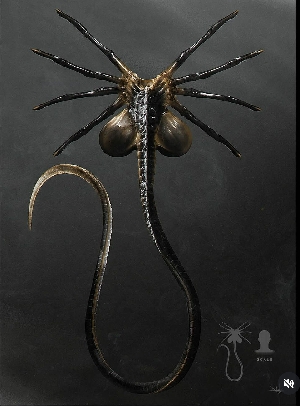 Alien: Romulus Facehugger final design